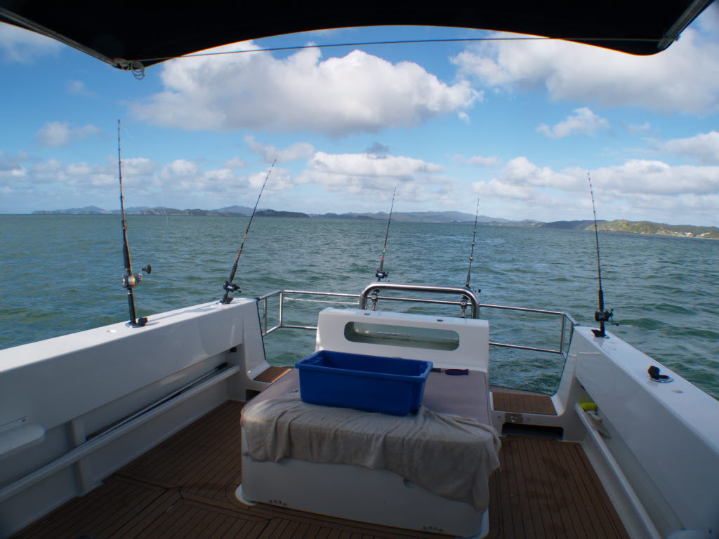 the boat