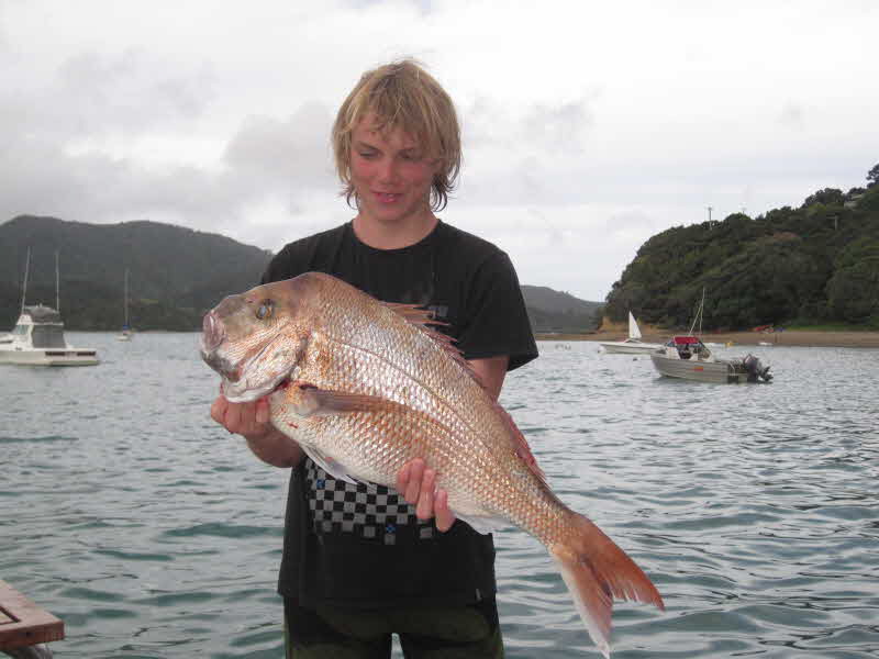 bay of islands fishing